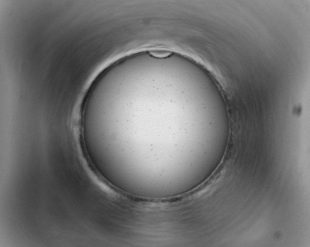 X0000102831519200808181037