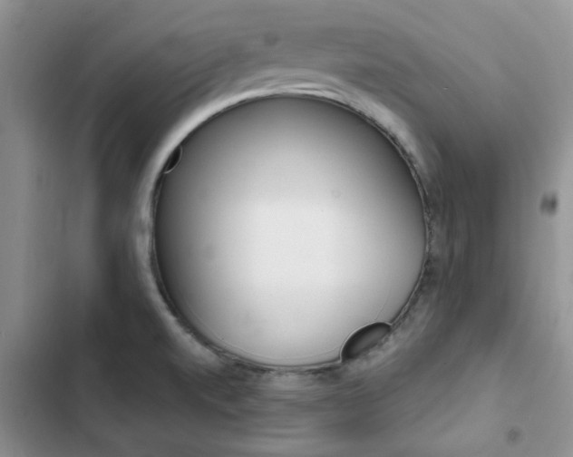X0000102831520200808181037
