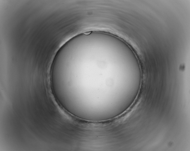 X0000102831521200808181037