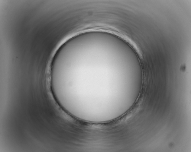 X0000102831522200808181037