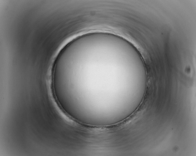 X0000102831523200808181037