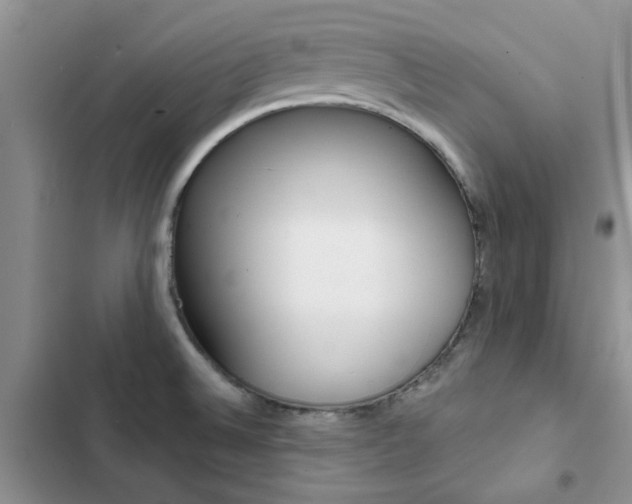 X0000102831524200808181037