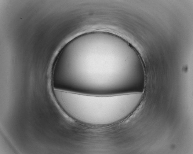 X0000102831525200808181037