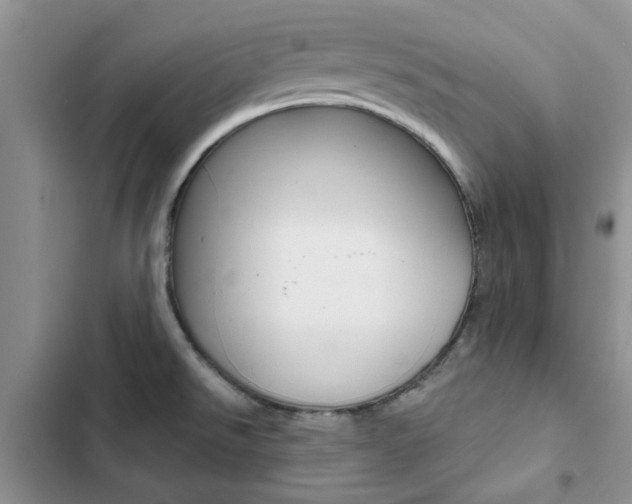 X0000102831526200808181037