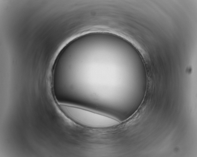 X0000102831527200808181037