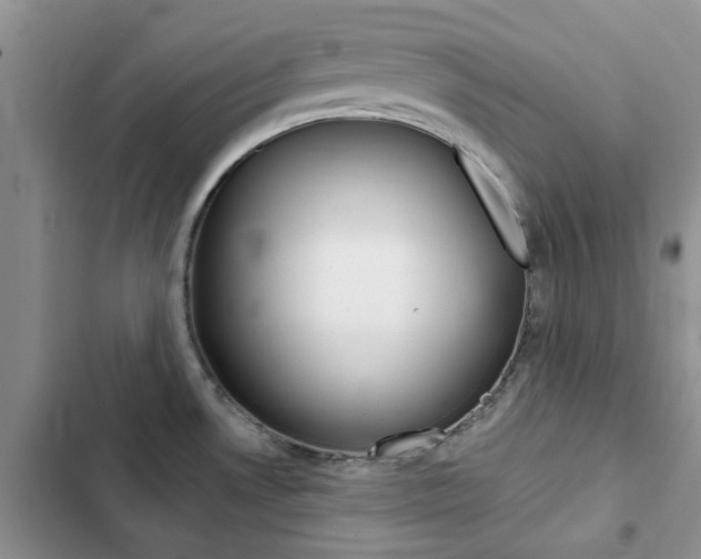 X0000102831530200808181037