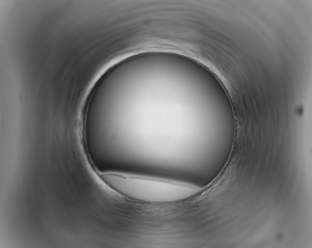 X0000102831531200808181037