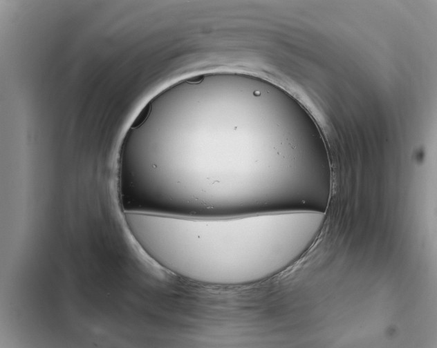 X0000102831532200808181037