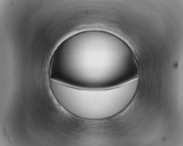 X0000102831534200808181037