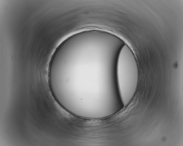 X0000102831535200808181037