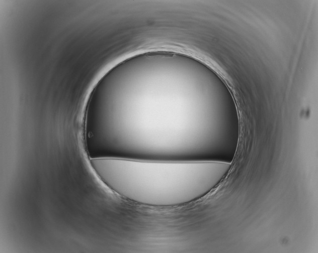 X0000102831536200808181037
