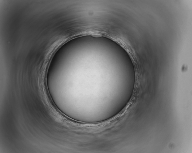 X0000102830001200808181335