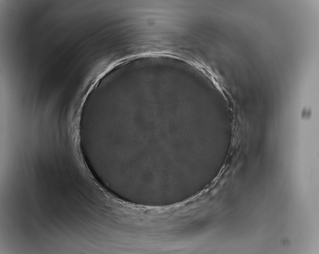 X0000102830002200808181335