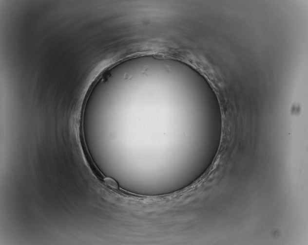 X0000102830003200808181335