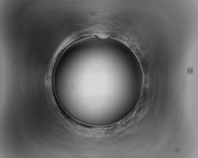 X0000102830004200808181335