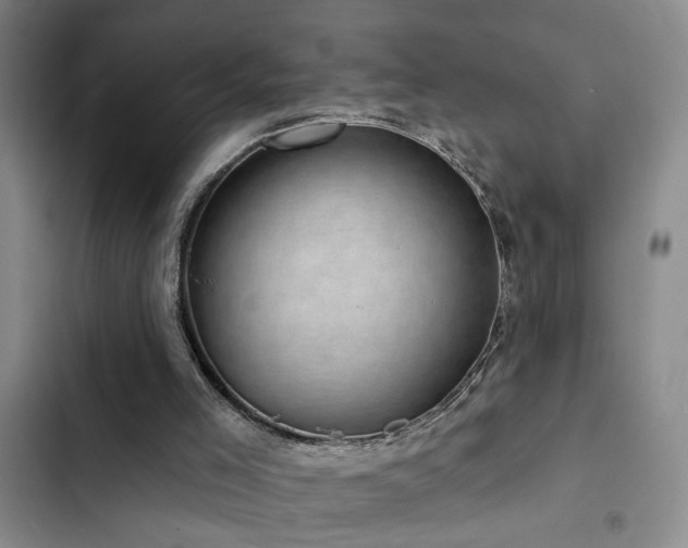 X0000102830005200808181335