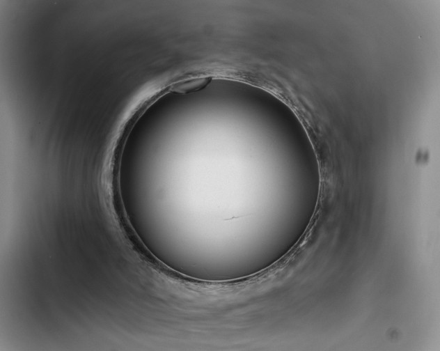 X0000102830006200808181335