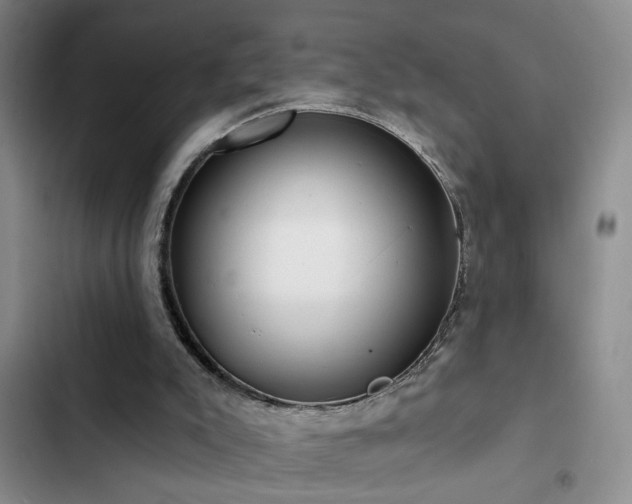 X0000102830007200808181335