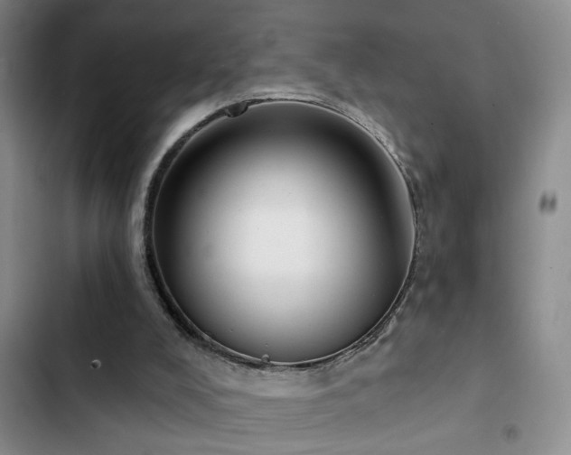 X0000102830008200808181335