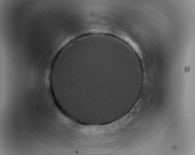 X0000102830009200808181335