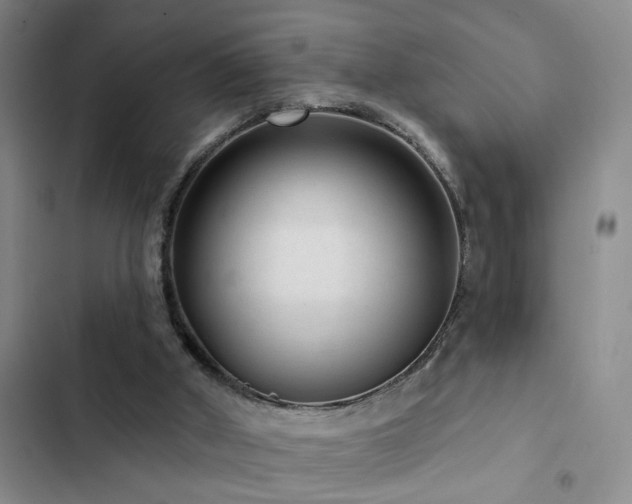 X0000102830010200808181335