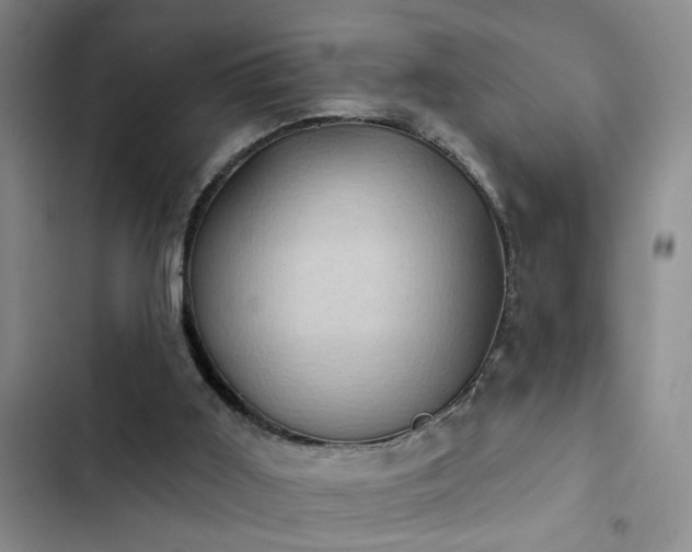 X0000102830011200808181335