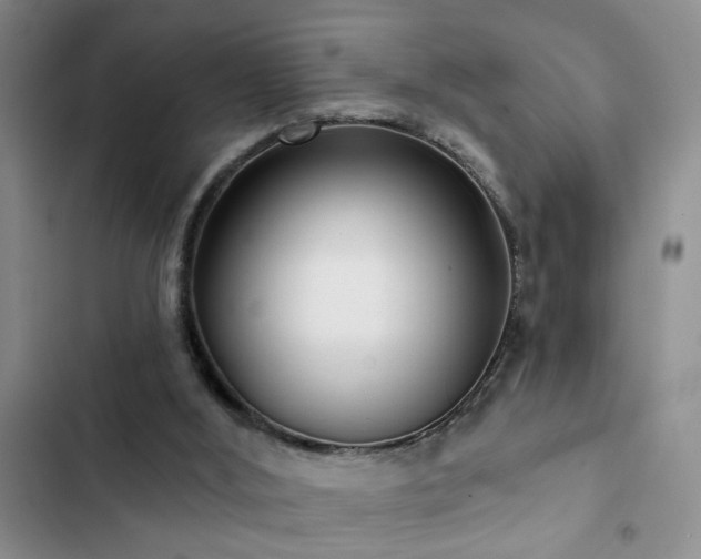 X0000102830012200808181335