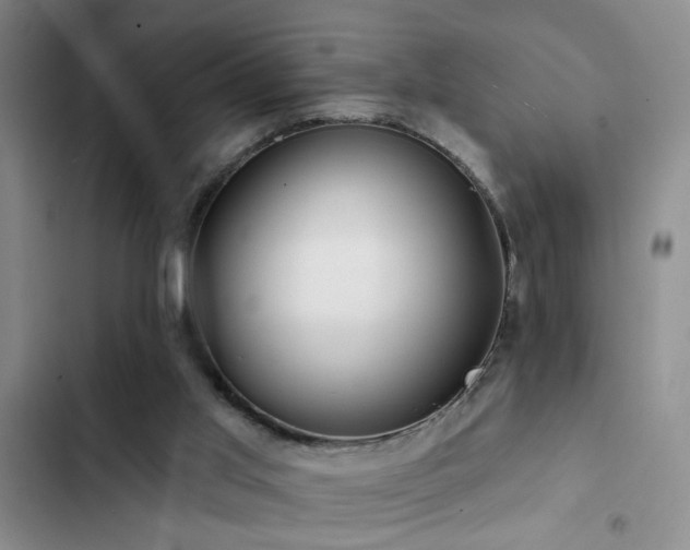 X0000102830013200808181335