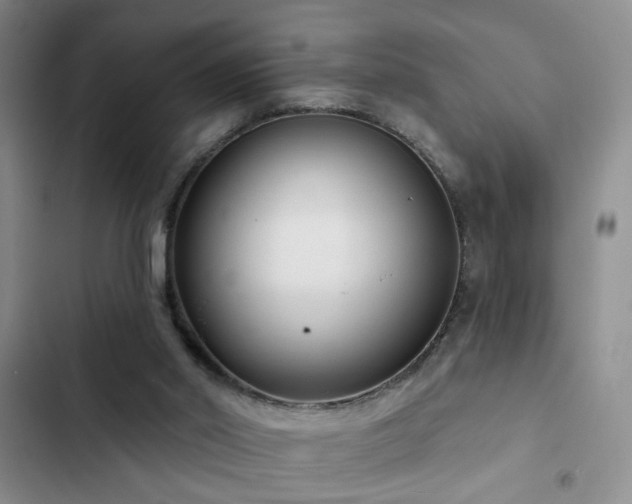 X0000102830014200808181335