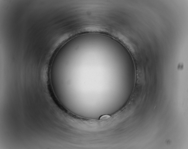 X0000102830015200808181335