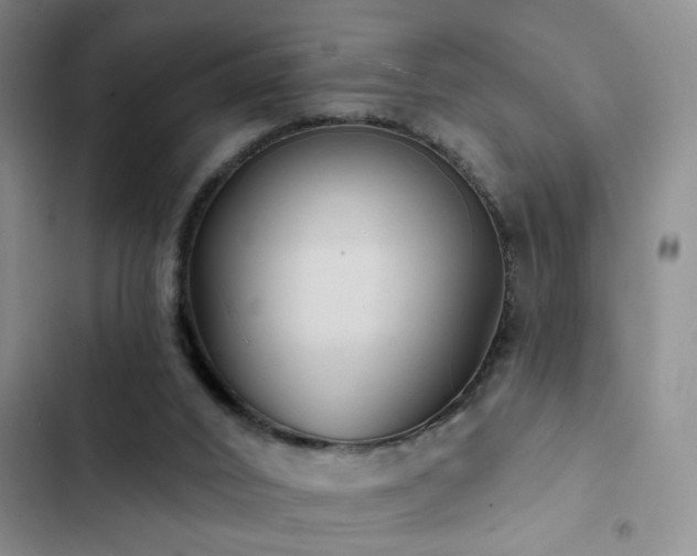 X0000102830016200808181335