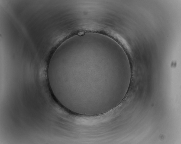 X0000102830017200808181335