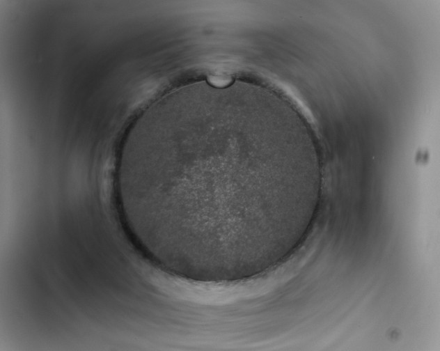 X0000102830018200808181335