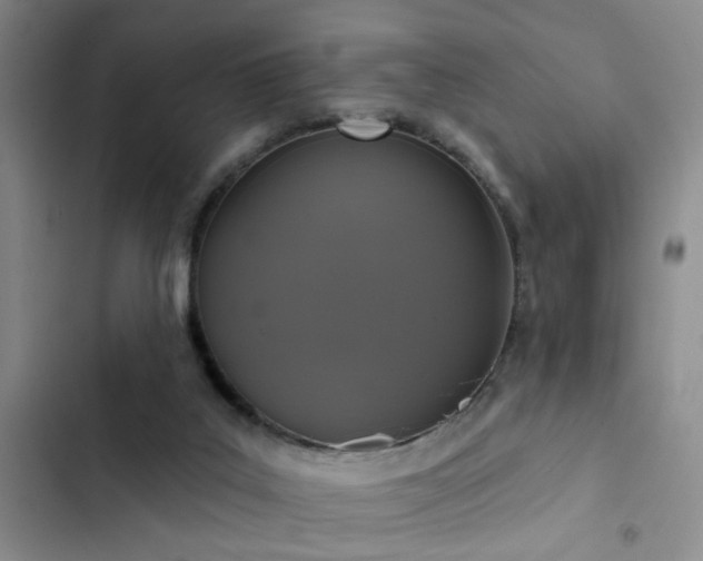 X0000102830019200808181335