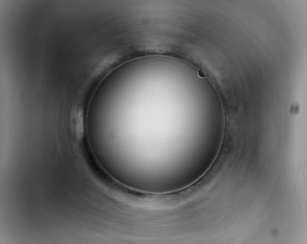 X0000102830020200808181335