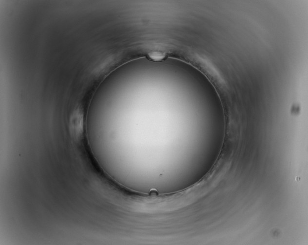 X0000102830021200808181335