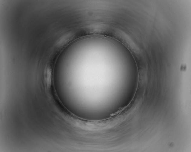 X0000102830022200808181335