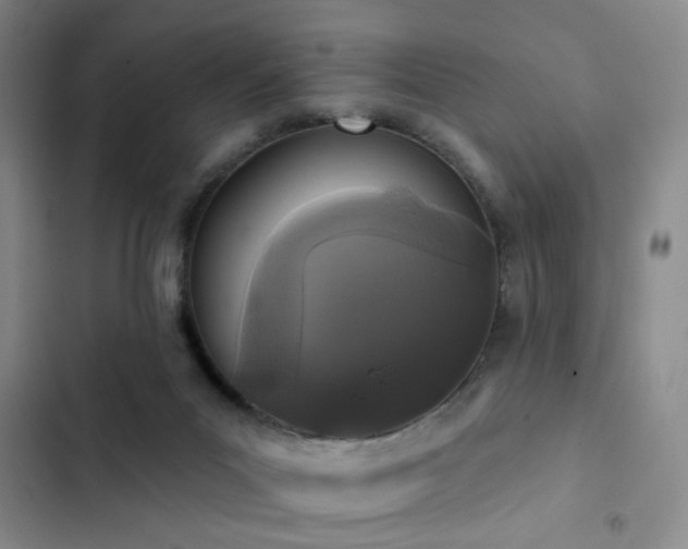 X0000102830023200808181335