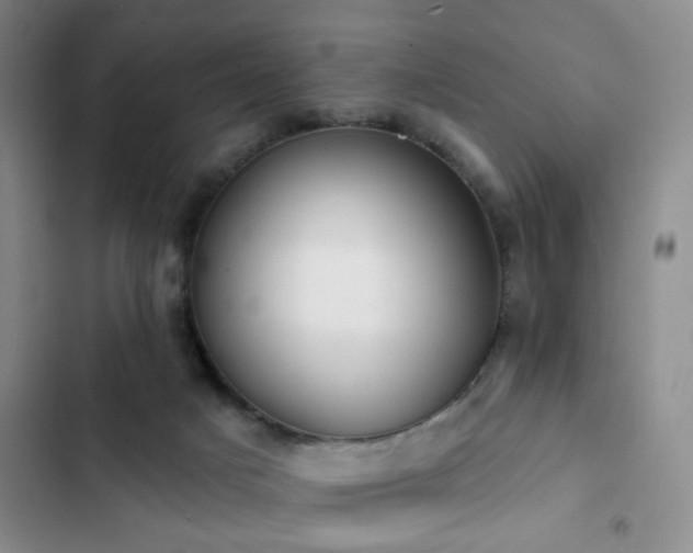 X0000102830025200808181335