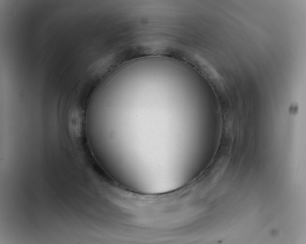 X0000102830026200808181335