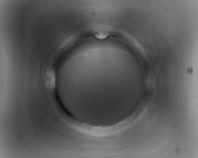 X0000102830027200808181335