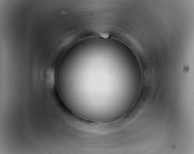 X0000102830028200808181335