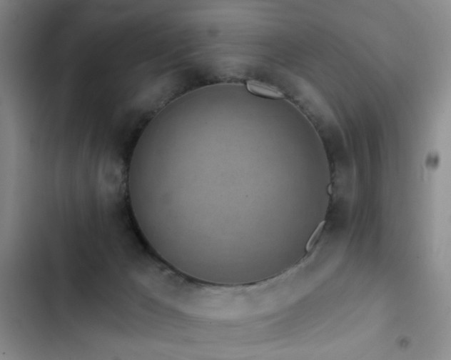 X0000102830029200808181334