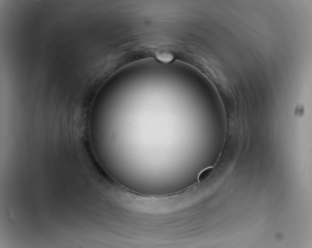 X0000102830030200808181334