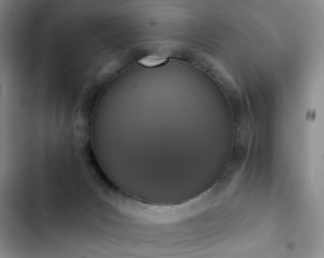 X0000102830031200808181334