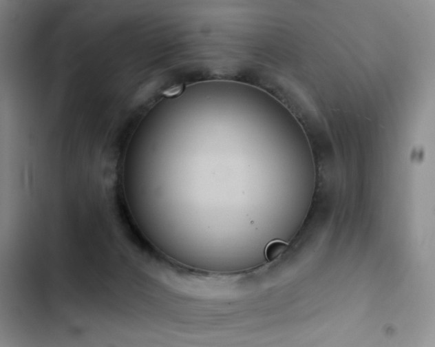 X0000102830032200808181334