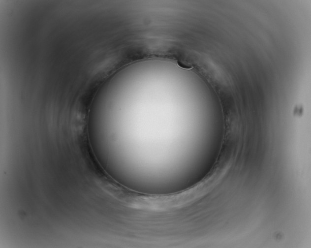 X0000102830033200808181334