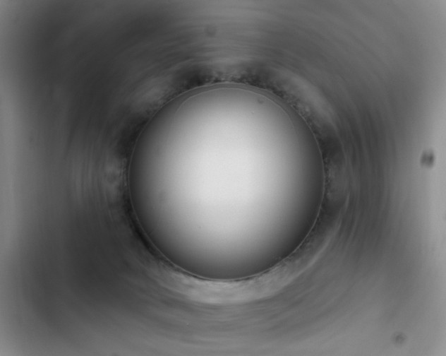 X0000102830034200808181334