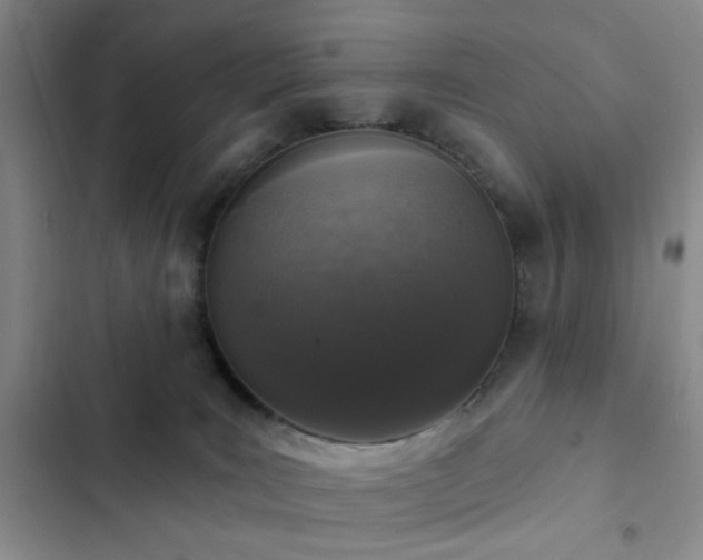 X0000102830035200808181334