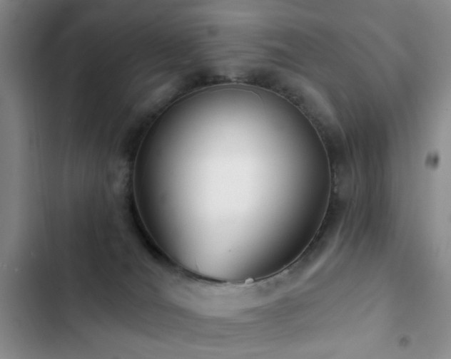 X0000102830036200808181334